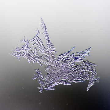 霜花