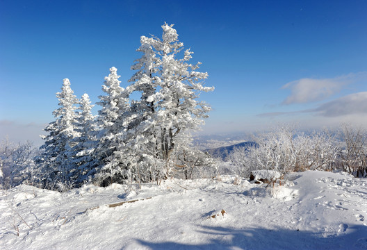 雪乡