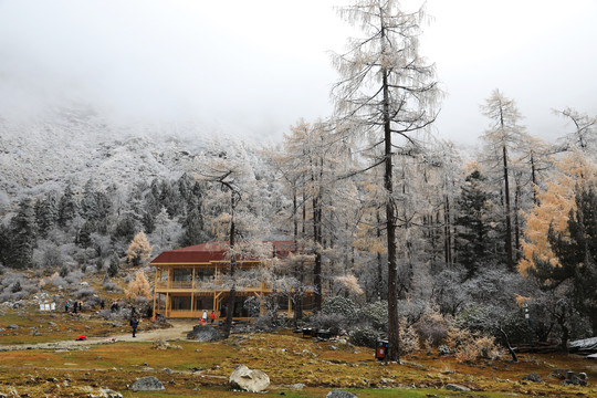 毕棚沟雪景