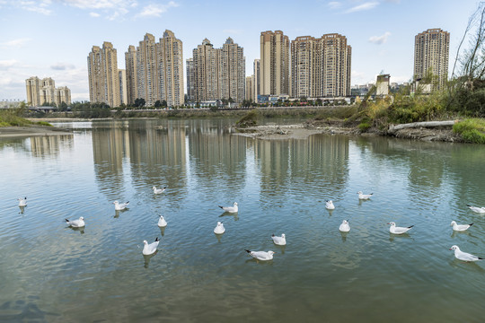 绵阳涪江