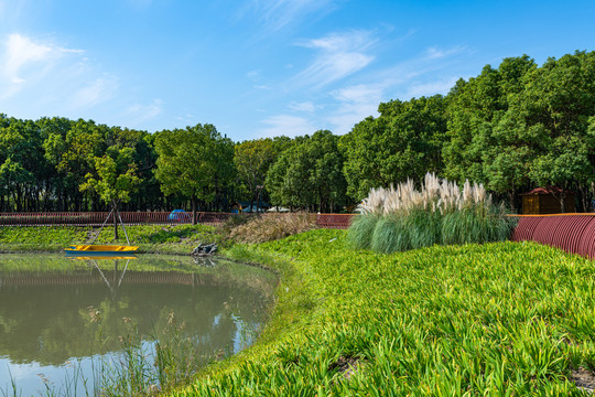 上海嘉北郊野公园儿童林湖塘池塘