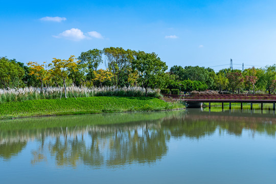 上海嘉北郊野公园儿童林湖塘池塘