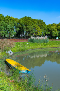 上海嘉北郊野公园湖泊湖塘池塘