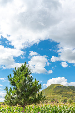 太行山风光