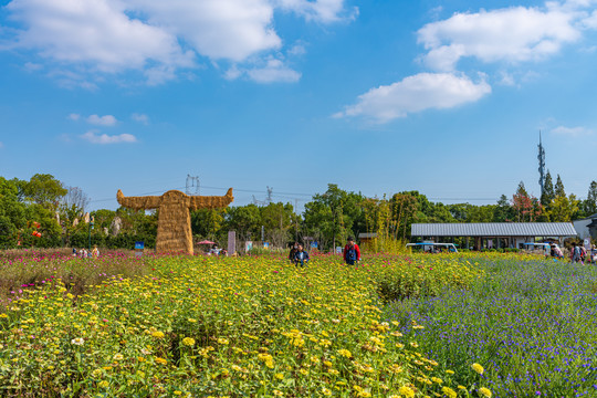 上海嘉北郊野公园花圃花卉