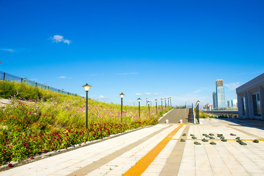 鲜花道路