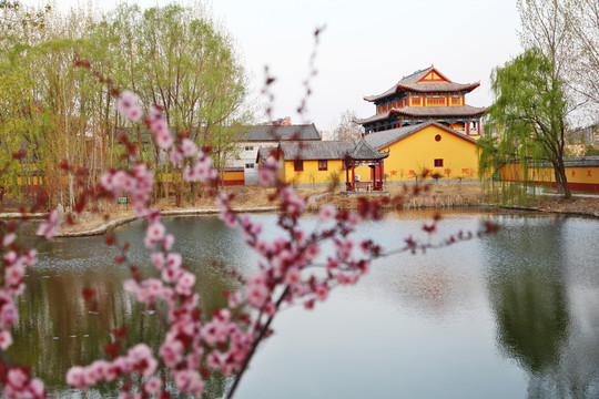 春日早晨的卧佛寺