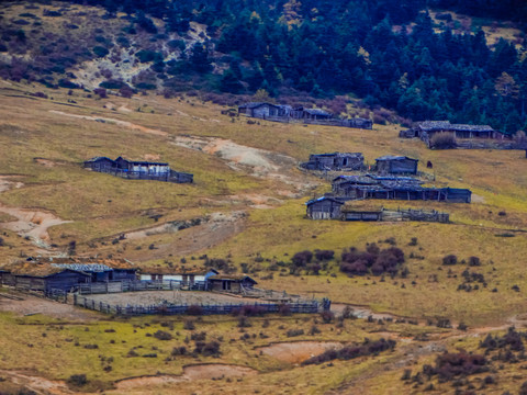 高山牧场