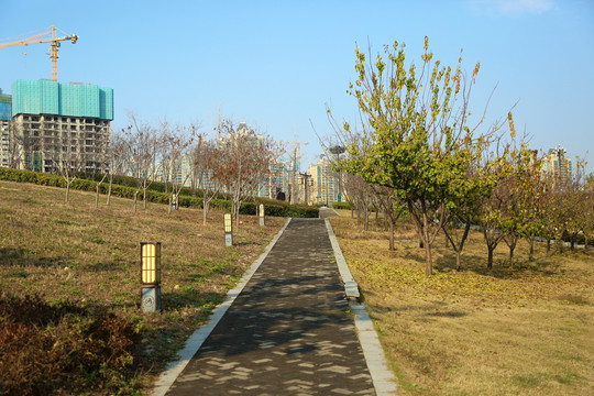 公园砖石路