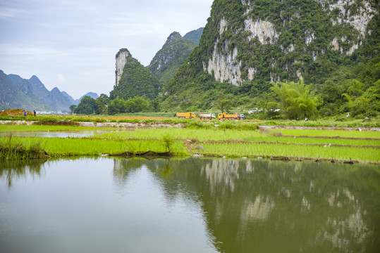 乡村湿地湖泊