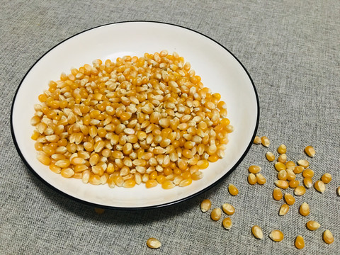爆米花玉米