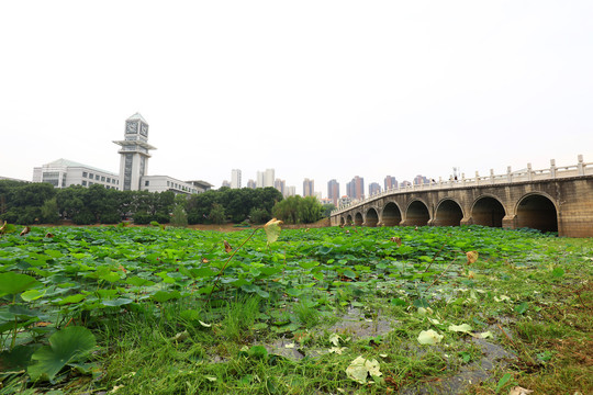 中南财经政法大学