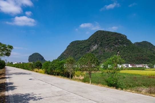 没有车辆的公路