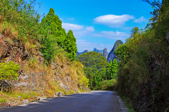 明媚阳光风景如画