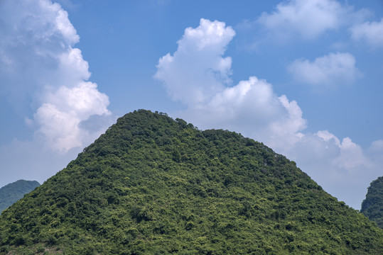 郁郁葱葱的青山绿植