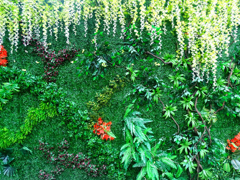 墙壁绿植绿植装饰