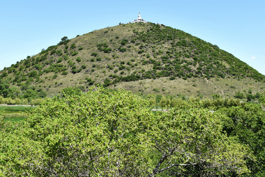 山