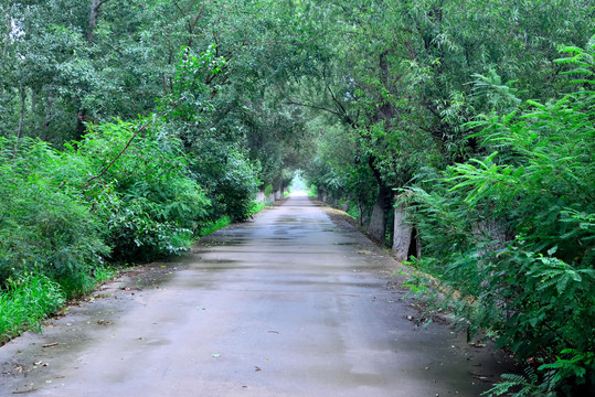 村庄公路