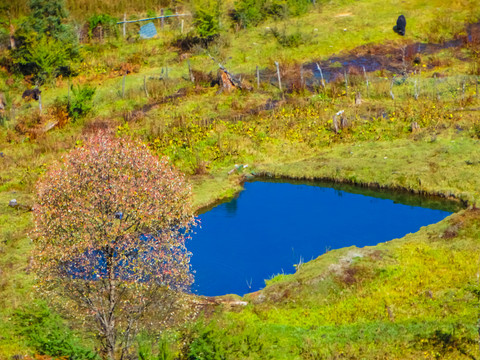 高山牧场