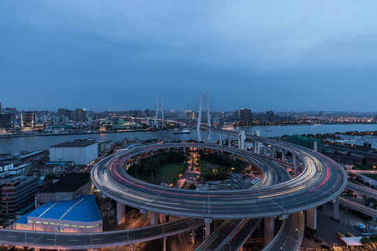 上海南浦大桥夜景和城市天际线