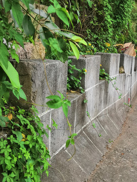 路边风景