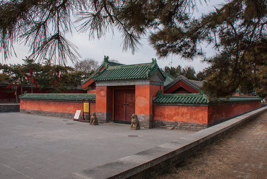 北京地坛公园神马圈