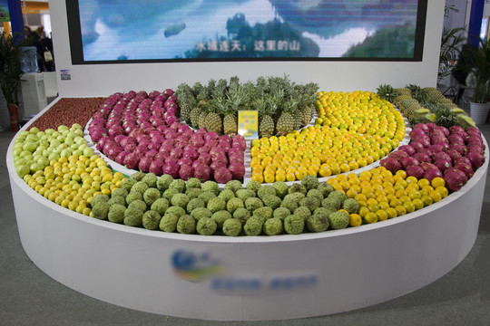 水果展示展览设计
