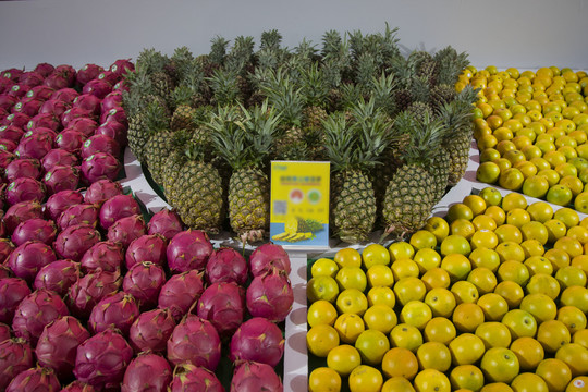 水果展览展示设计