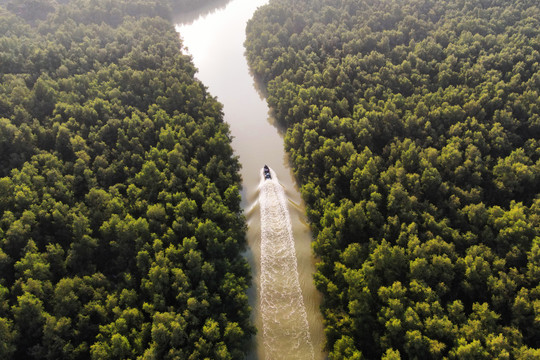 珠海淇澳湿地