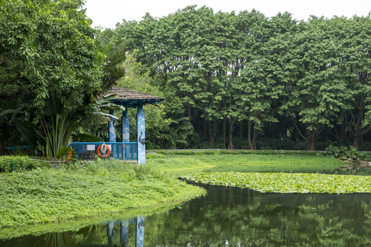 园林湖景