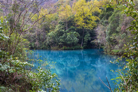 山中湖水