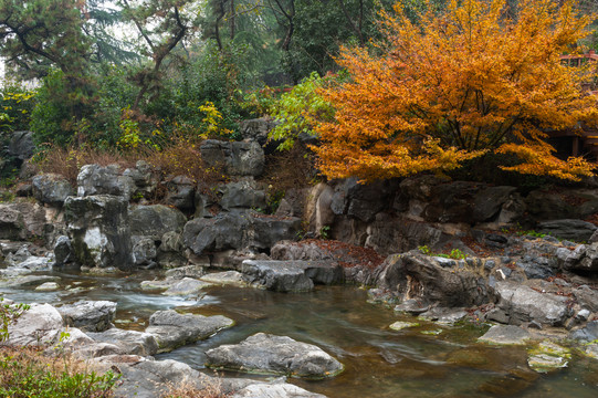 山石水涧