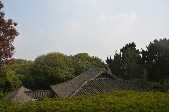 中国江南的瓦屋顶与绿树