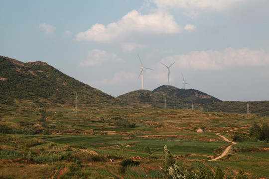 丘陵坡田