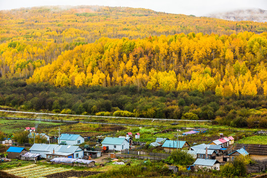 中俄边境秋季村庄