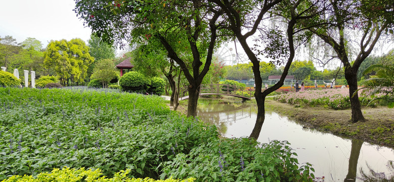 公园美景