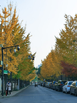 小区街景