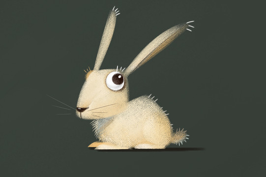 小兔插画