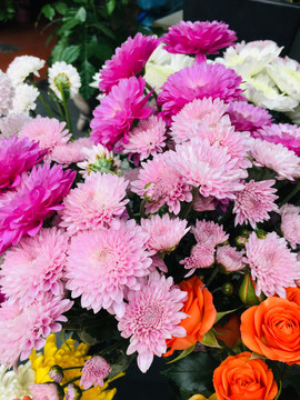 菊花