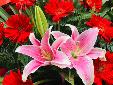 百合花