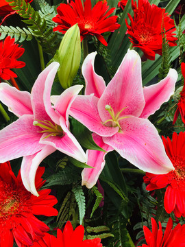 百合花