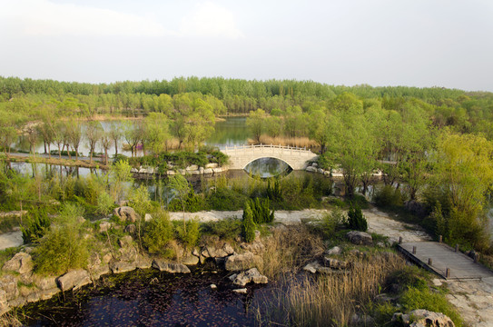 潍坊白浪绿洲湿地公园