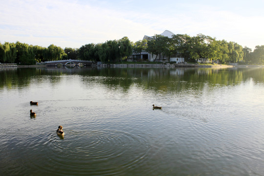 景观园林北京龙潭湖公园