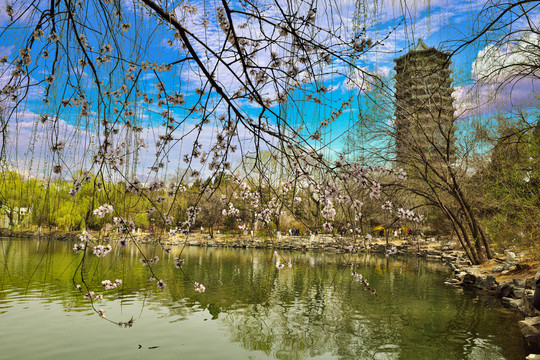 北京大学未名湖