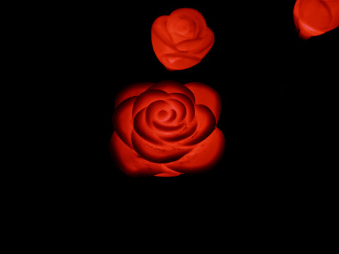 夜色中的玫瑰