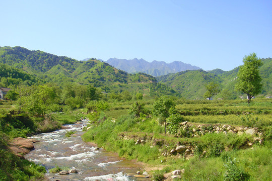 秦岭岱峪口