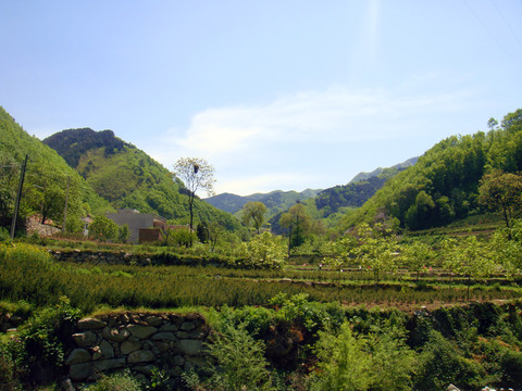 秦岭山村