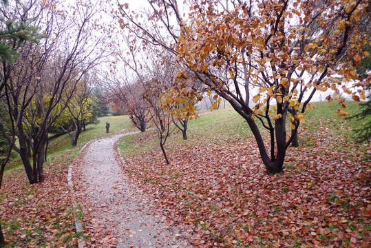 青州范公亭公园