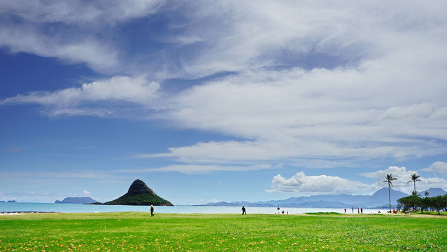 绿草坪远山风景画