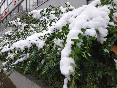 下雪